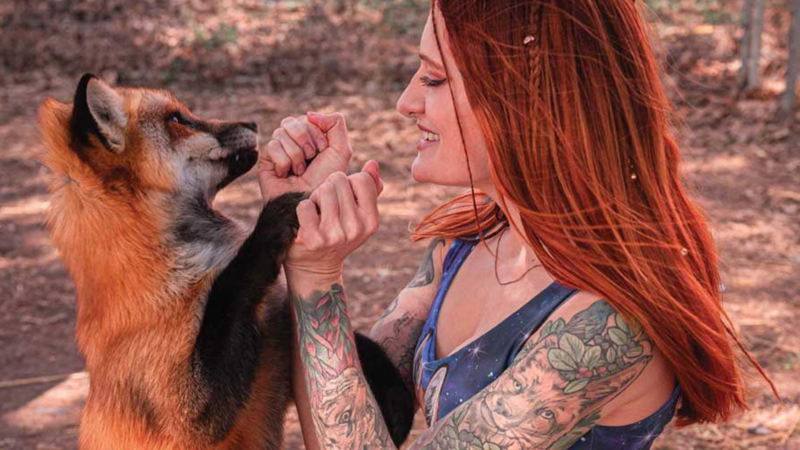 Mikayla Raines gioca con una volpe salvata nel rifugio Save A Fox